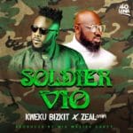 KwekuBizkit SoldierVio